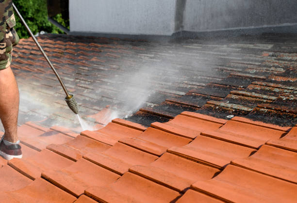 Professional Pressure Washing in Delhi Hills, OH